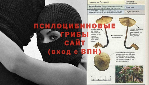 марки lsd Инсар