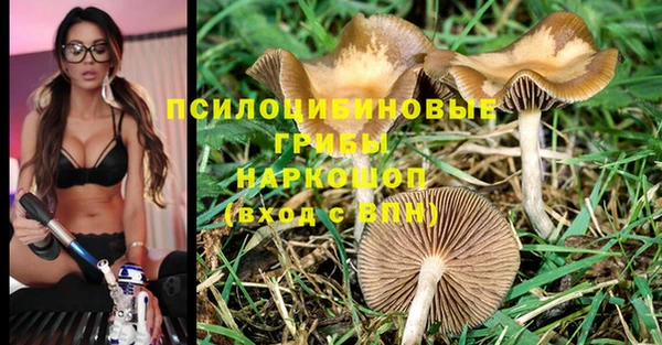 кокаин колумбия Иннополис