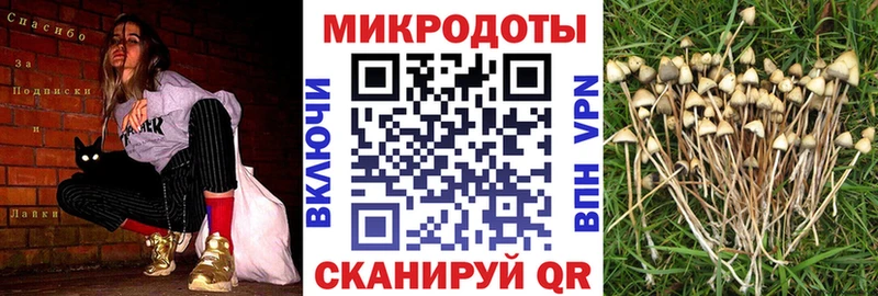 Галлюциногенные грибы ЛСД  Купить закладки  Енисейск 